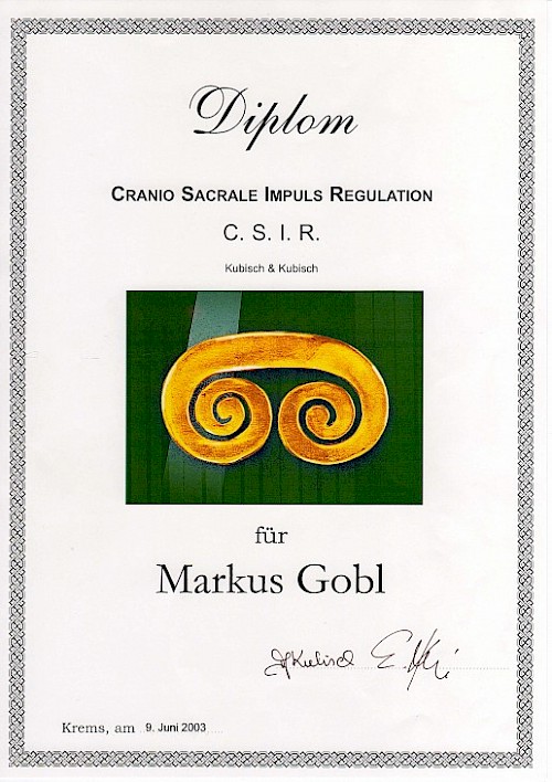 diplom_csir_markus.jpg